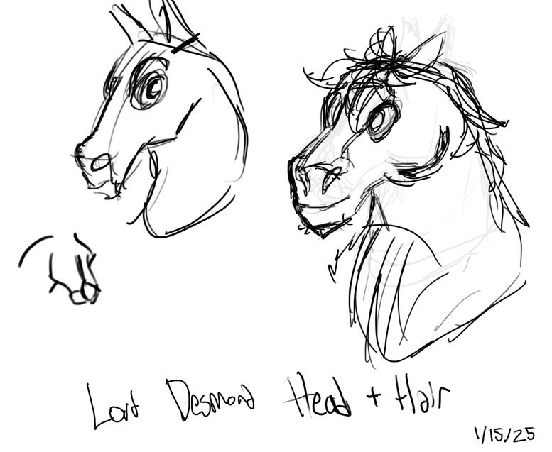 Lord Desmond, head and hair idea.